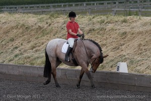 ISIS Dressage Challenge 2008